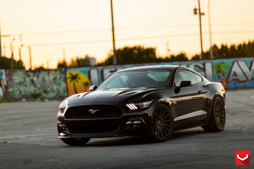 Ford Mustang   VFS2